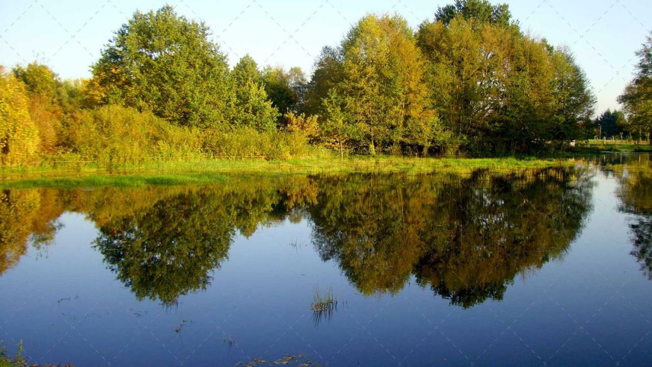 Janischs Fewo Im Spreewald, Terrasse, Grosser Garten Und Blick Inklusive Unterspreewald 外观 照片